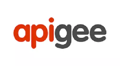 AnyConv.com__Google Apigee